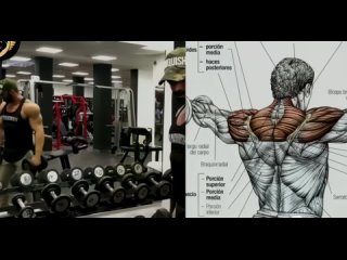 back workout nhtybhjdrf cgbys