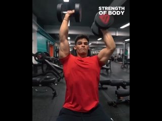 shoulder workout nhtybhjdrf yf gktxb nhtybhjdrf yf gktxb nhtybhjdrf yf gktxb